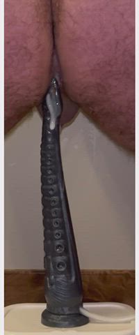 Amateur Anal Anal Creampie Anal Play butthole Creampie Cumshot Deep Penetration Tentacles Porn GIF